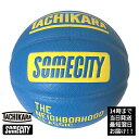 TACHIKARA タチカラ サムシティ オフィシャル バスケットボール 7号 SOMECITY OFFICIAL GAME BALL SB7-108